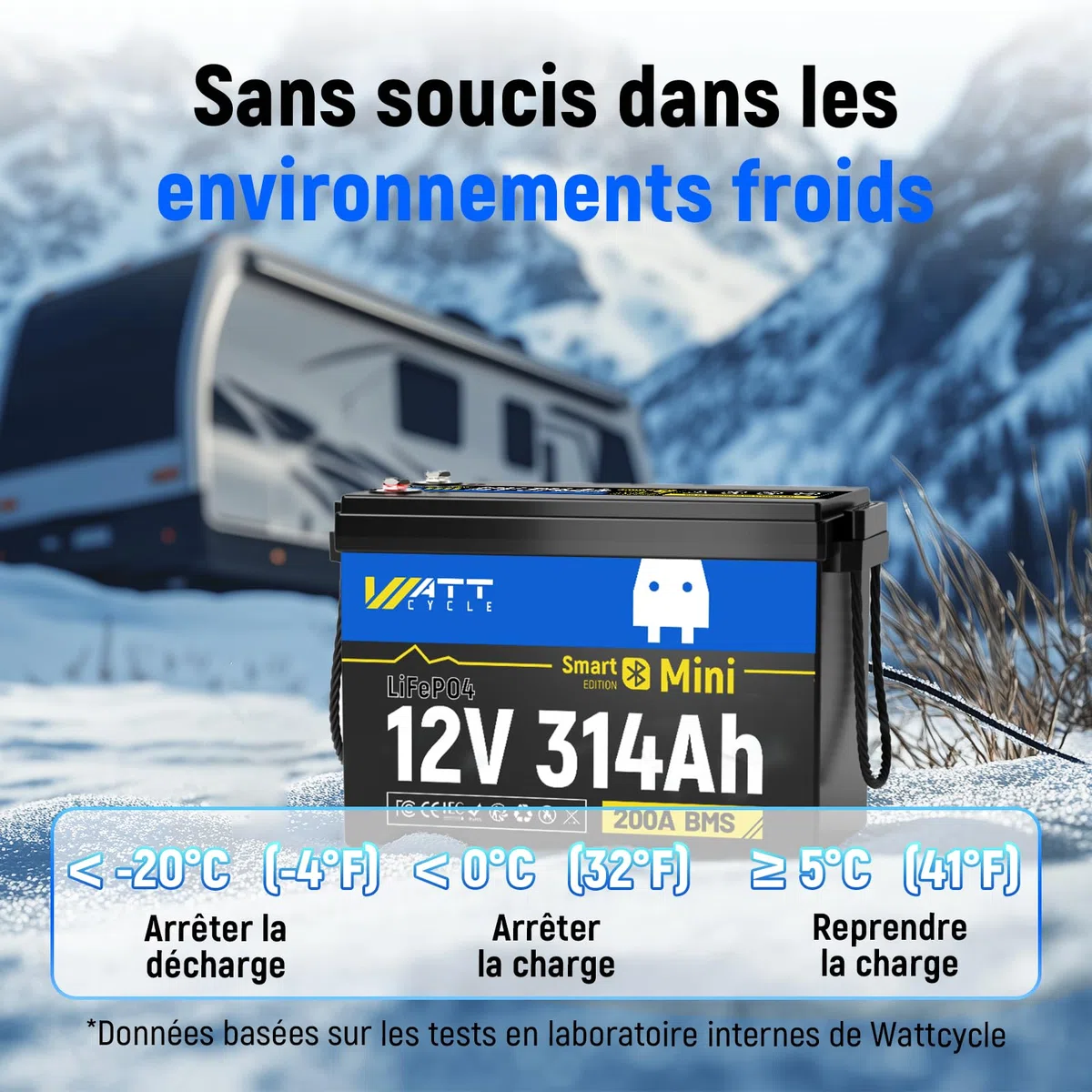 Wattcycle Batterie Lithium 12V 314Ah Bluetooth, Batterie lifepo4 4019Wh