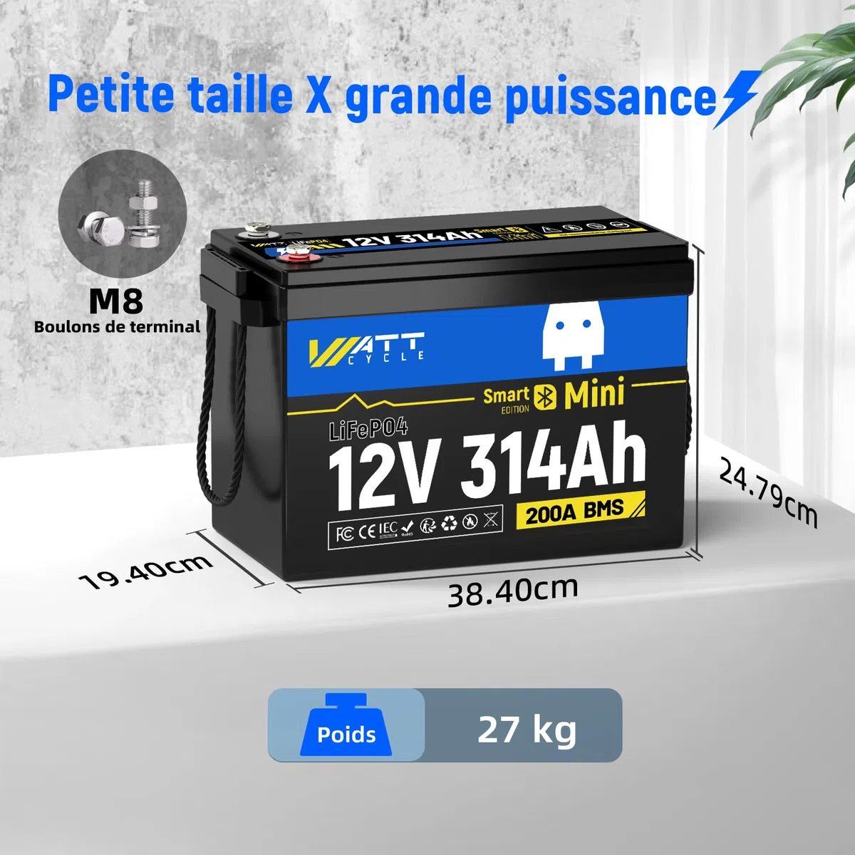 Wattcycle Batterie Lithium 12V 314Ah Bluetooth, Batterie lifepo4 4019Wh